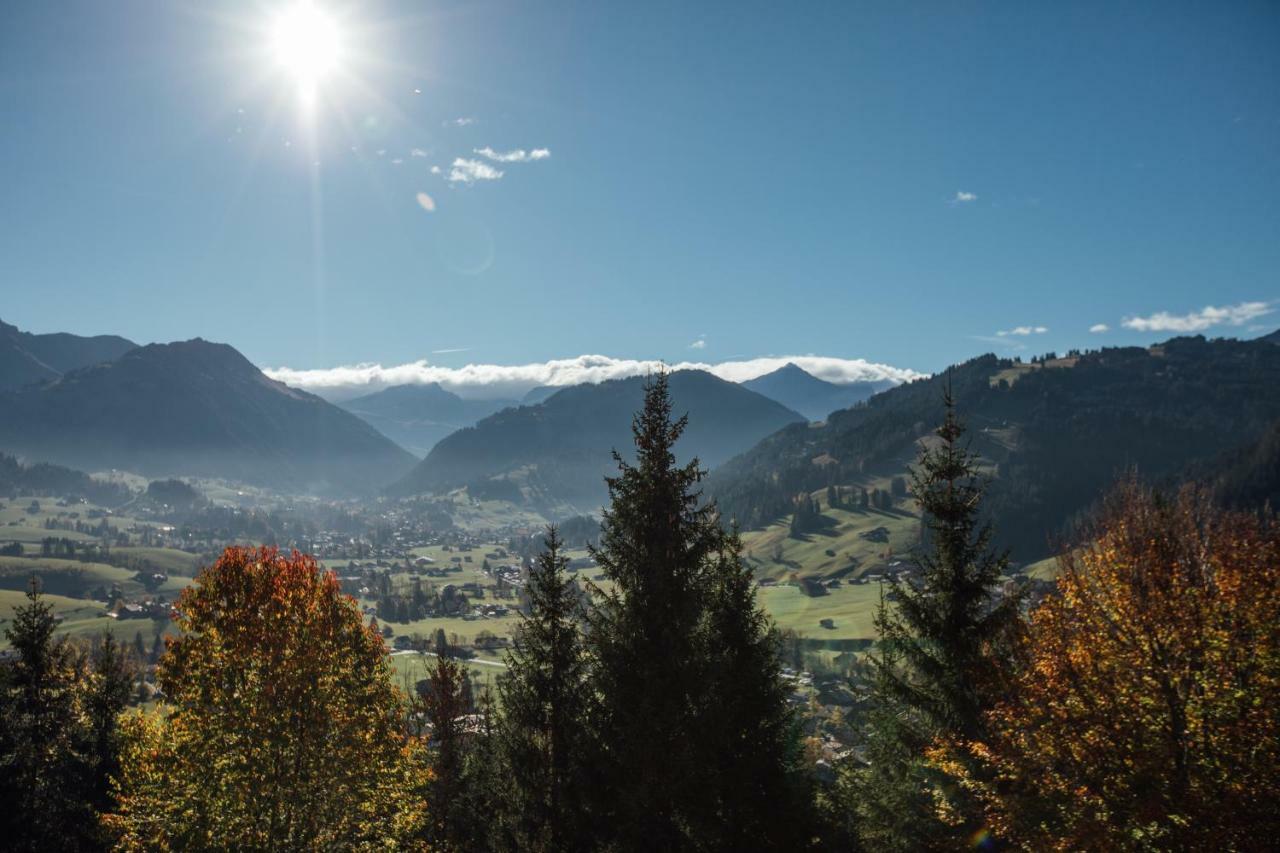 Budget Rooms Gstaad シェーンリート エクステリア 写真